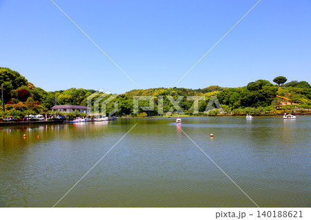 蓮華寺池公園 蓮華寺池 藤枝市 静岡県 東海地方 花・水・鳥・笑顔の楽園 蓮 れんげじいけ 蓮華寺池公園 蓮華寺池 藤枝市 静岡県 東海地方 花・水・鳥・笑顔の楽園 蓮 れんげじいけ 140188621