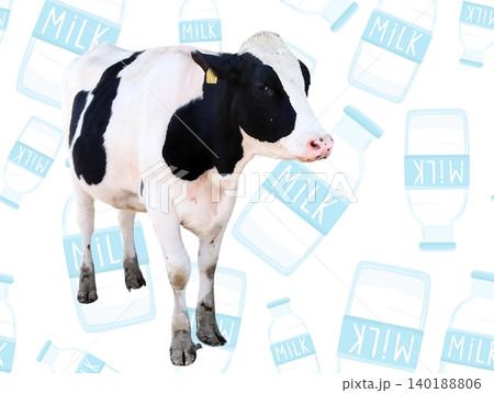 ウシ ウシ 140188806