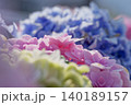 あじさい 140189157