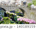 あじさい 140189159