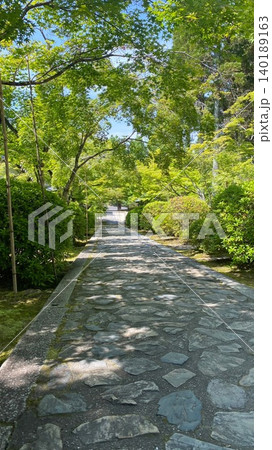 京都府 一休寺の参道 京都府 一休寺の参道 140189163