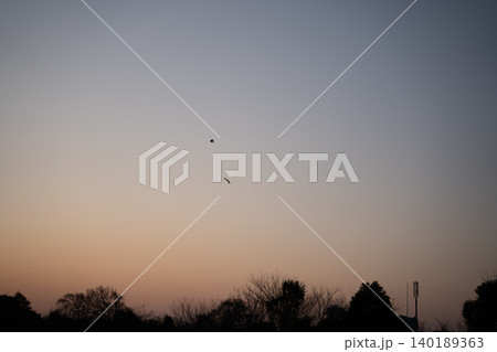 夕暮れの空を飛ぶ鳥 夕暮れの空を飛ぶ鳥 140189363