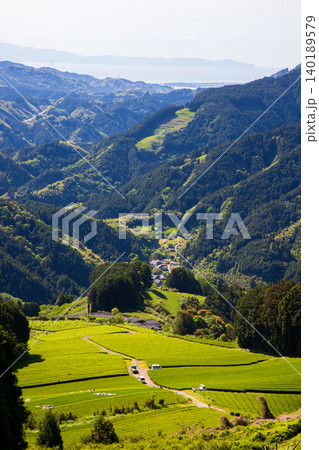 山間に広がる茶畑 山間に広がる茶畑 140189579