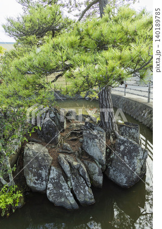 多賀城市興井、沖の井、沖の石 多賀城市興井、沖の井、沖の石 140189785