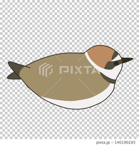 A sitting Kentish plover (summer plumage) 140190285