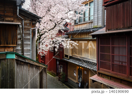 金沢・主計町茶屋街の「暗がり坂」へと続く風情ある路地と満開の桜 140190690