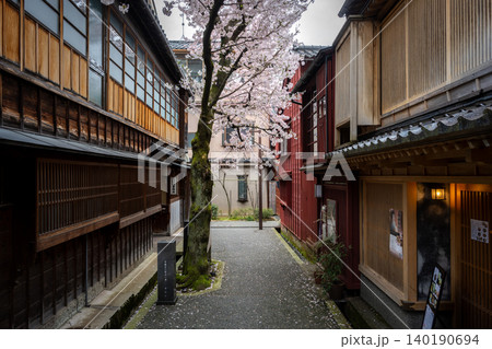 金沢・主計町茶屋街の「暗がり坂」へと続く風情ある路地と満開の桜 金沢・主計町茶屋街の「暗がり坂」へと続く風情ある路地と満開の桜 140190694