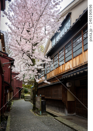 金沢・主計町茶屋街の「暗がり坂」へと続く風情ある路地と満開の桜 140190696