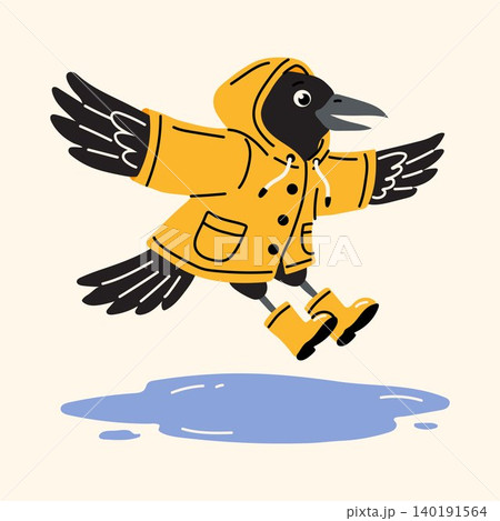 Adorable Raven in Rain Boots Jumping Over Puddle Adorable Raven in Rain Boots Jumping Over Puddle 140191564