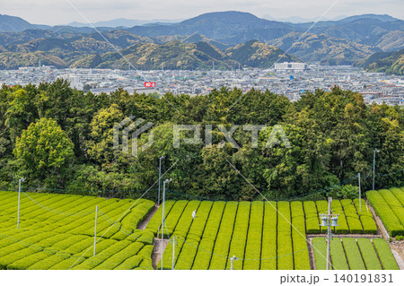 島田市の街並みと茶畑の風景(静岡県) 島田市の街並みと茶畑の風景(静岡県) 140191831