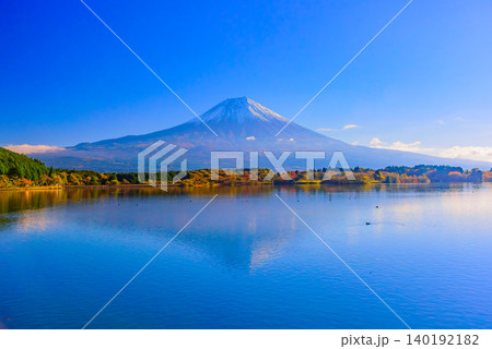 秋晴れの早朝 紅葉最盛期の田貫湖面に映る冠雪富士の美しい水鏡【逆さ富士】シンメトリー 秋晴れの早朝 紅葉最盛期の田貫湖面に映る冠雪富士の美しい水鏡【逆さ富士】シンメトリー 140192182