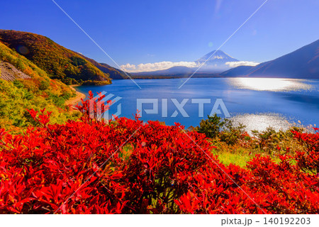 秋晴れの早朝 紅葉彩る本栖湖展望公園から望む冠雪の富士山と湖面のキラキラとした輝き 秋晴れの早朝 紅葉彩る本栖湖展望公園から望む冠雪の富士山と湖面のキラキラとした輝き 140192203