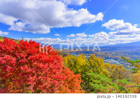秋晴れの紅葉台展望台から望む雲間の冠雪富士と左下を彩る真っ赤な紅葉の大木【対角線構図】 秋晴れの紅葉台展望台から望む雲間の冠雪富士と左下を彩る真っ赤な紅葉の大木【対角線構図】 140192339