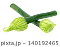 Two fresh green onion flower stalks with light green closed buds isolated. Organic vegetable ingredients for cooking and healthy diet. 140192465