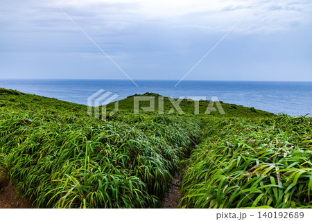 奄美大島 宮古崎の風景 奄美大島 宮古崎の風景 140192689