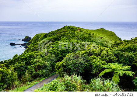 奄美大島 宮古崎の風景 奄美大島 宮古崎の風景 140192712