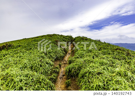 奄美大島 宮古崎の風景 奄美大島 宮古崎の風景 140192743