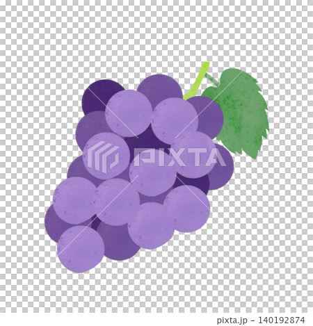 Hand-drawn illustration of grapes Hand-drawn illustration of grapes 140192874