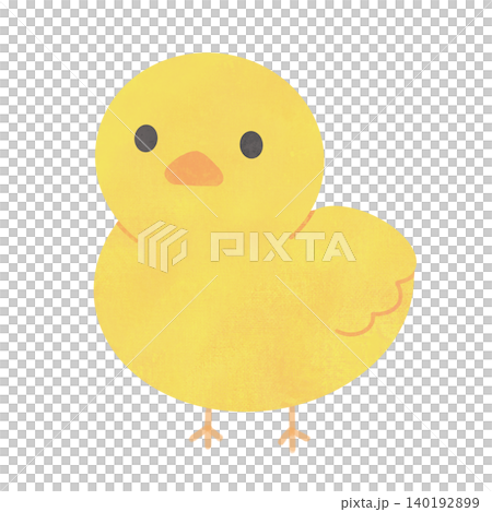 Hand-drawn illustration of a chick Hand-drawn illustration of a chick 140192899