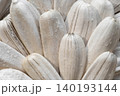white sunflower seeds with salt on 140193144