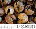 Soap nuts deseeded dry for making powder 140193151