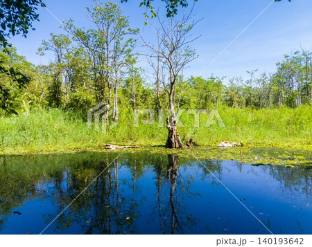 Beautiful morning view in Indonesia, panoramic landscape of rice fields with mountain ranges and clear sky Beautiful morning view in Indonesia, panoramic landscape of rice fields with mountain ranges and clear sky 140193642