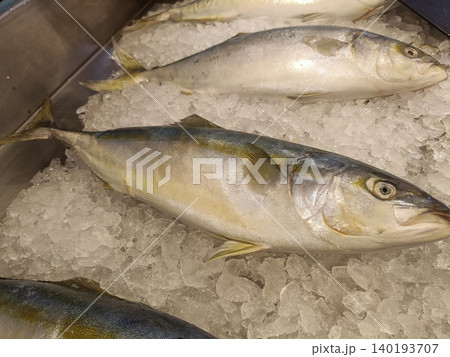 Fresh fish seafood market ice display raw yellowtail whole arranged crushed ice market stall with clean texture and natural Fresh fish seafood market ice display raw yellowtail whole arranged crushed ice market stall with clean texture and natural 140193707