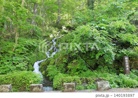 ブナ坂の清水 尾瀬国立公園 /福島県 南会津郡 檜枝岐村 ブナ坂の清水 尾瀬国立公園 /福島県 南会津郡 檜枝岐村 140193897