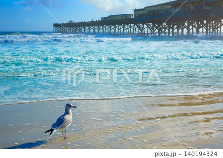 Daytona Beach in Florida with pier USA 140194324