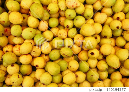 Buayaba o guayabilla fruit Psidium guajava Linnaeus 140194377