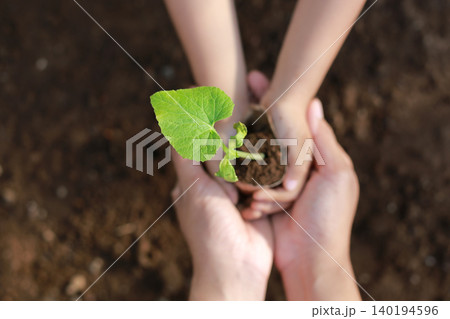 Hands gently cradle a young green plant. Earth surrounds the tender sprout, rich and dark. Child's hands show care, curiosity, and hope. Adult's hands support with tenderness and trust Hands gently cradle a young green plant. Earth surrounds the tender sprout, rich and dark. Child's hands show care, curiosity, and hope. Adult's hands support with tenderness and trust 140194596