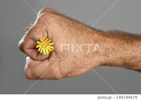 Concept and contrast of hairy man hand and flower Concept and contrast of hairy man hand and flower 140194670