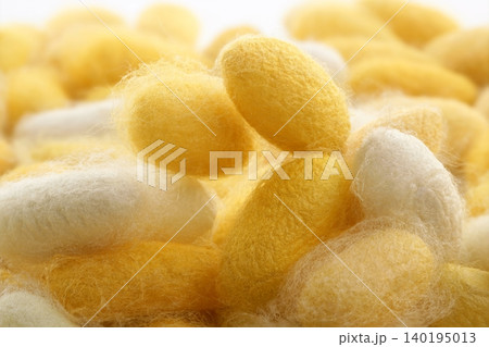 cocoon silkworm  many silk worm yellow 140195013