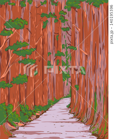 Cedar Trees in Myoko-Togakushi Renzan National Park Japan Ukiyo-e WPA Poster Cedar Trees in Myoko-Togakushi Renzan National Park Japan Ukiyo-e WPA Poster 140195396
