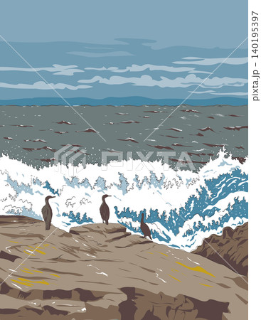 Cormorant on Rocks at Pebble Beach California WPA Ukiyo-e Poster 140195397