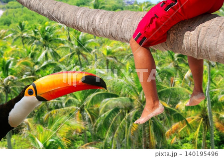 Horizontal palm tree trunk sitting legs tropical toucan Horizontal palm tree trunk sitting legs tropical toucan 140195496