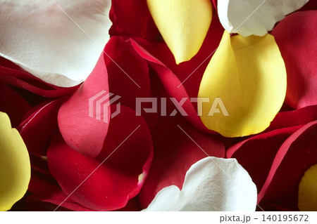 Colorful rose petal pattern wallpaper texture 140195672