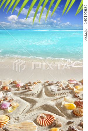 beach sand starfish print caribbean tropical sea 140195686