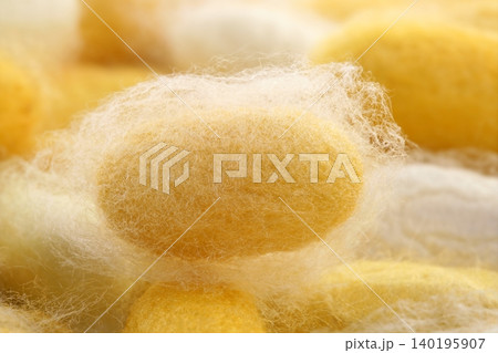 silkworm cocoon macro detail many silk worm 140195907