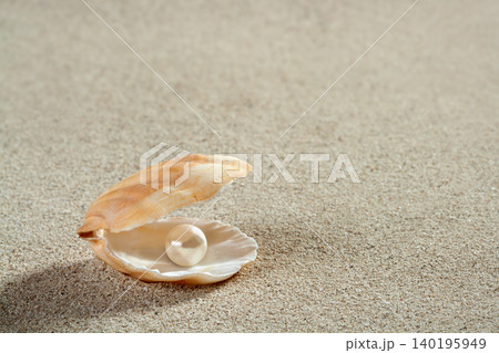 beach white sand pearl shell clam macro 140195949