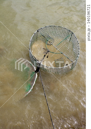 Crab trap wire round net in brown river 140196721