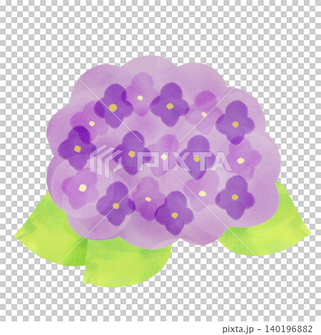 水彩風格繡球花插畫素材(紫色) 水彩風格繡球花插畫素材(紫色) 140196882