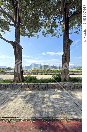 Two mature trees frame a scenic view of mountains and the sea under a clear blue sky Two mature trees frame a scenic view of mountains and the sea under a clear blue sky 140197447