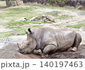 お昼寝するサイ 140197463