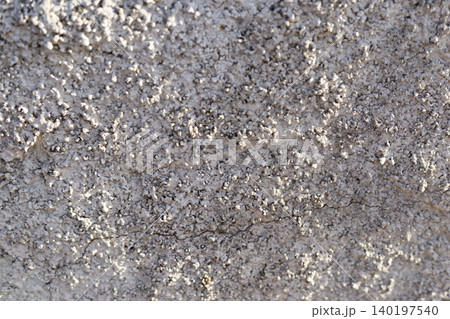 White Plaster Texture with Rough Stucco Finish 140197540