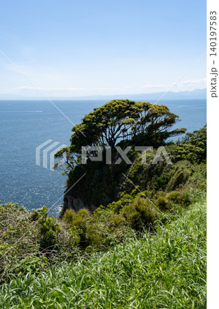 江の島から見た草むら越しの海 140197583