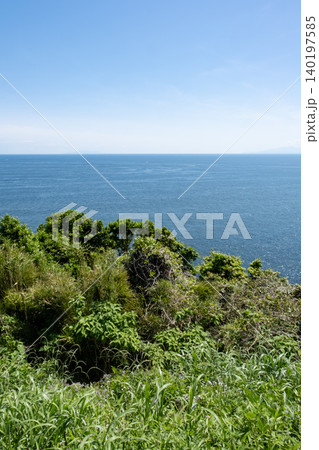 江の島から見た草むら越しの海 140197585