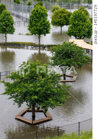 台風や大雨で河川が氾濫し水没した公園、横浜 140197729