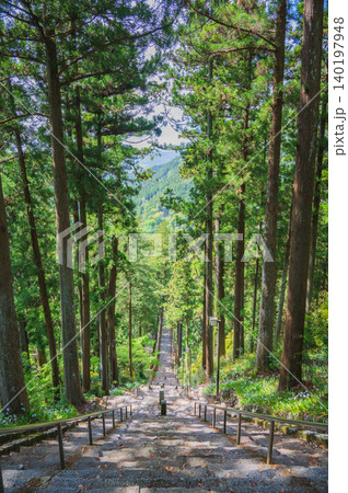 【身延山】杉並木と菩提梯を上から望む【久遠寺】 140197948