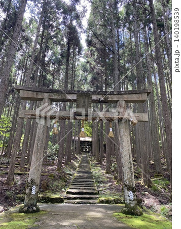 杉林の奥へ続く石段参道と鳥居のある神秘的な森 杉林の奥へ続く石段参道と鳥居のある神秘的な森 140198539